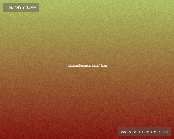 欧洲杯每日前瞻：8强席位提前锁定 东契奇冲击16强目标