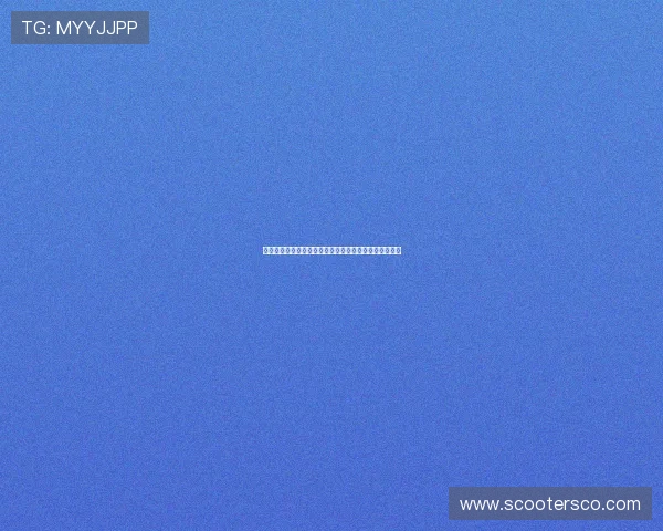 莱切中场库利巴利：保级关键时刻我们需超越上赛季表现