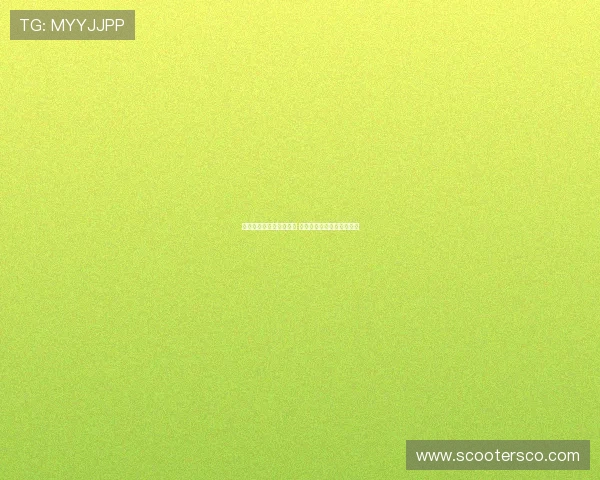 阿森纳夏季引援强势补充 脑袋跟不上身体成最大挑战