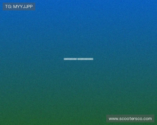 扎卡随队前往里约训练 药厂与新未来城未达成协议